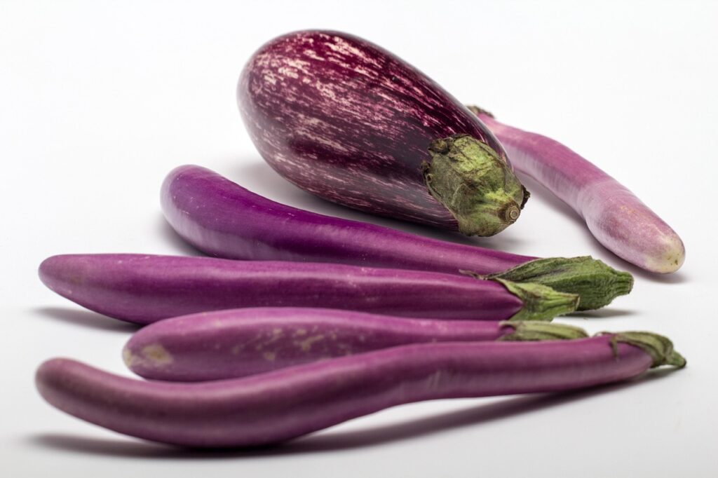 eggplant, fruit, still life, eggplant, eggplant, eggplant, eggplant, eggplant